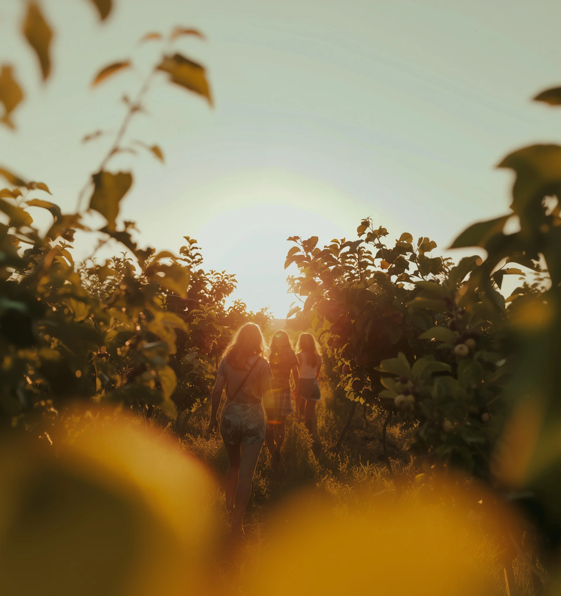 Reducing Waste, Protecting Our Planet